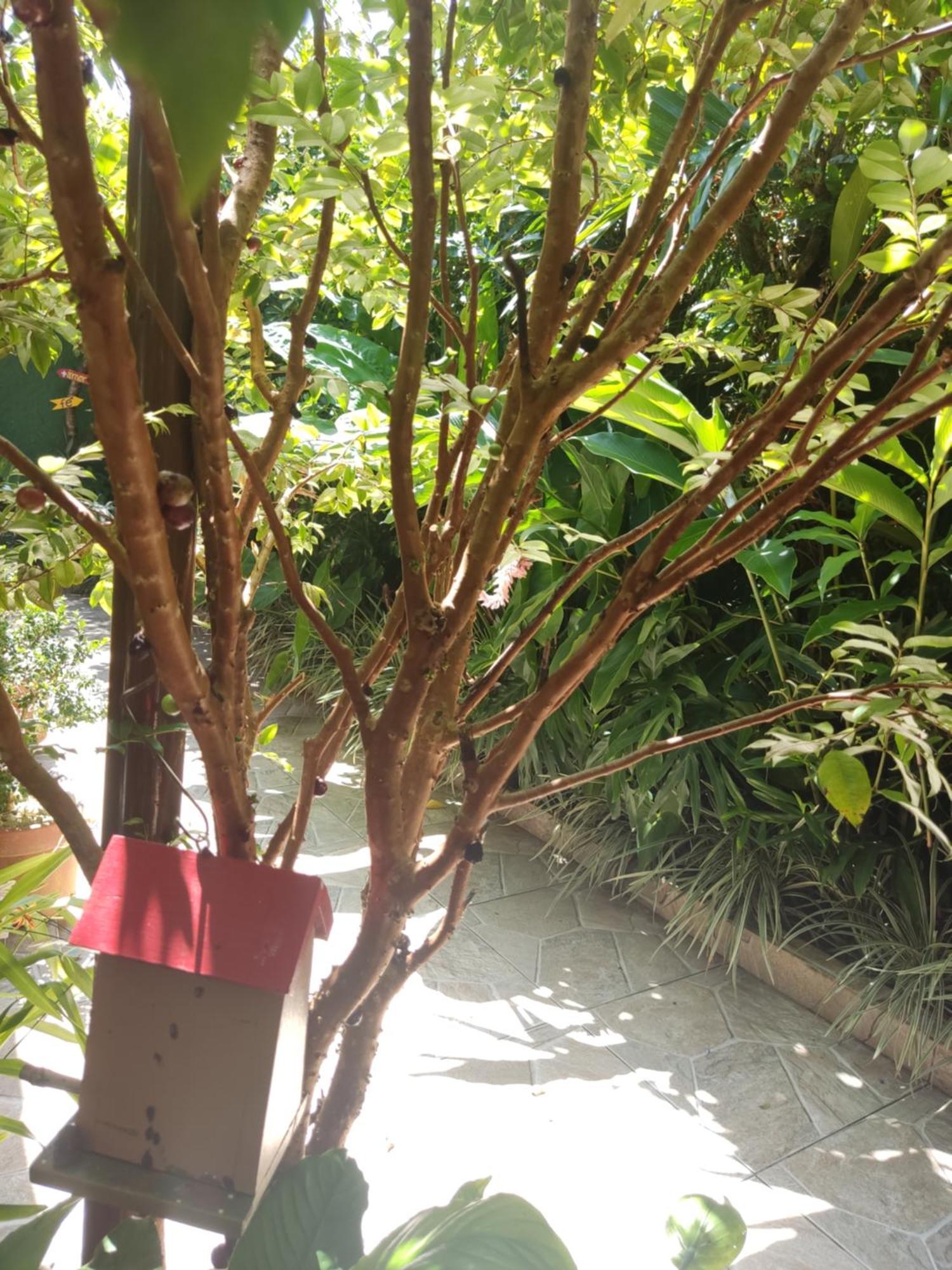 Recanto Toca Das Plantas De Ilhabela I Pokoj fotografie